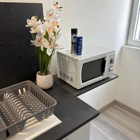 Apartman Charming Plant *