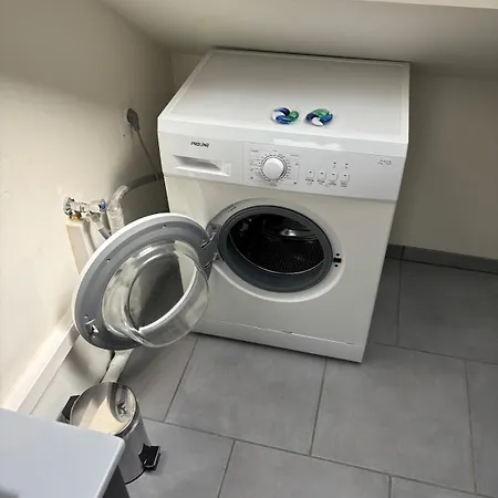 Charming Plant * Rouen