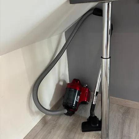 Apartment Charming Plant *