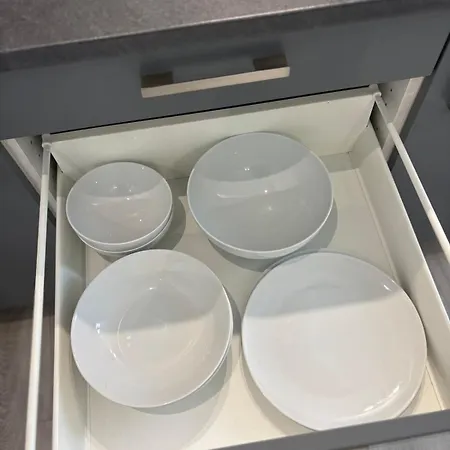 Charming Plant * Rouen