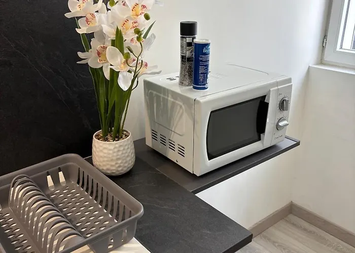 Apartment Charming Plant *