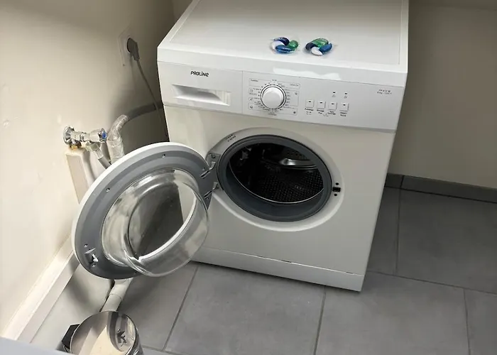 Charming Plant * Rouen