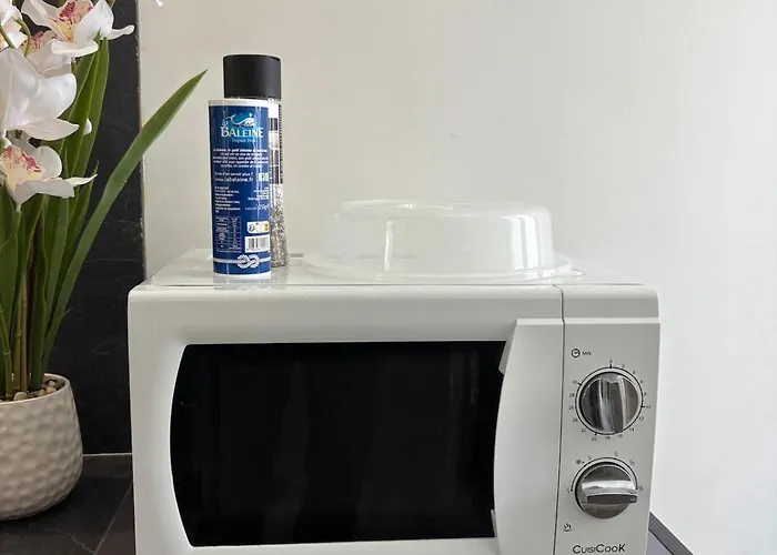 Charming Plant * Rouen