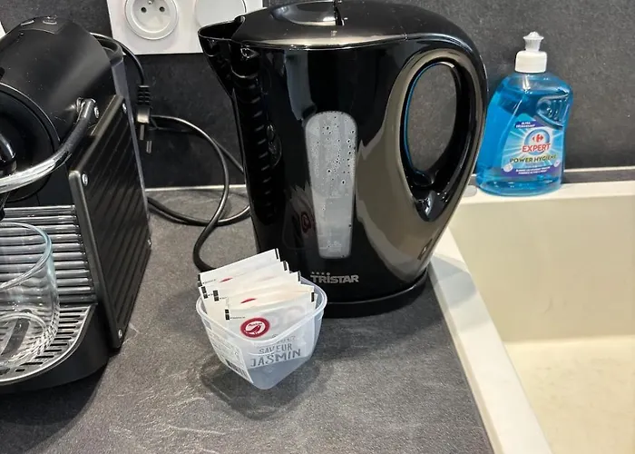 Apartment Charming Plant