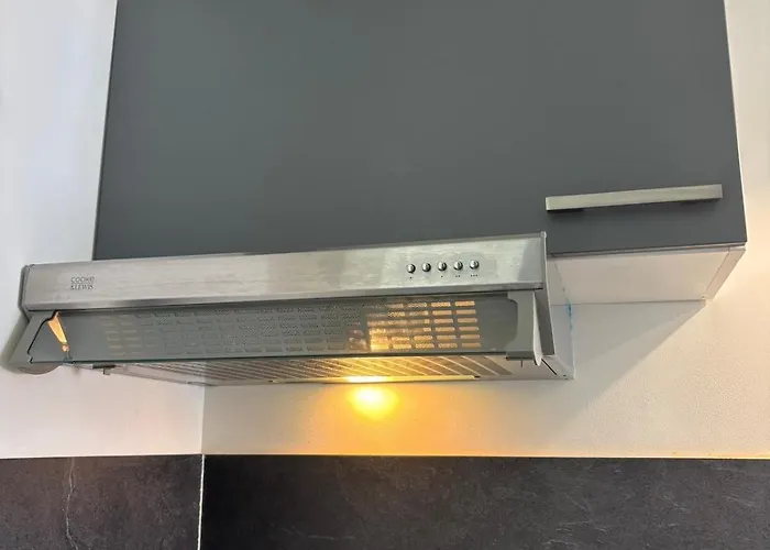 Charming Plant * Rouen