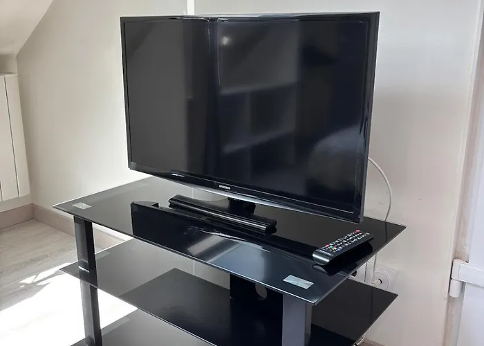 Apartment Charming Plant