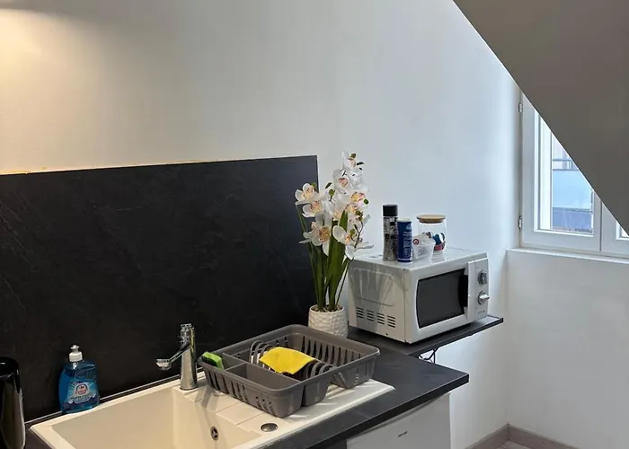 Charming Plant * Rouen