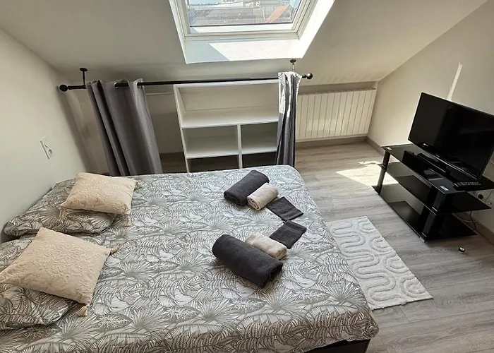 Apartment Charming Plant Rouen